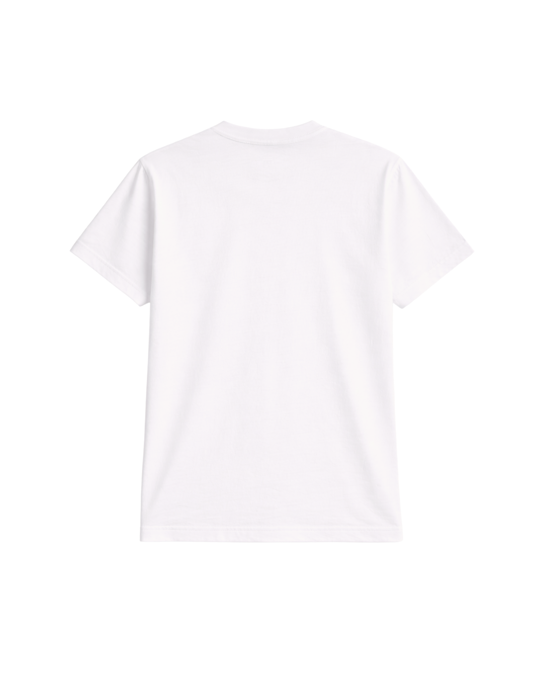 เสื้อลาย DISCIPLINE  วินัย  เหนือพรสวรรค์  OVER TALENT